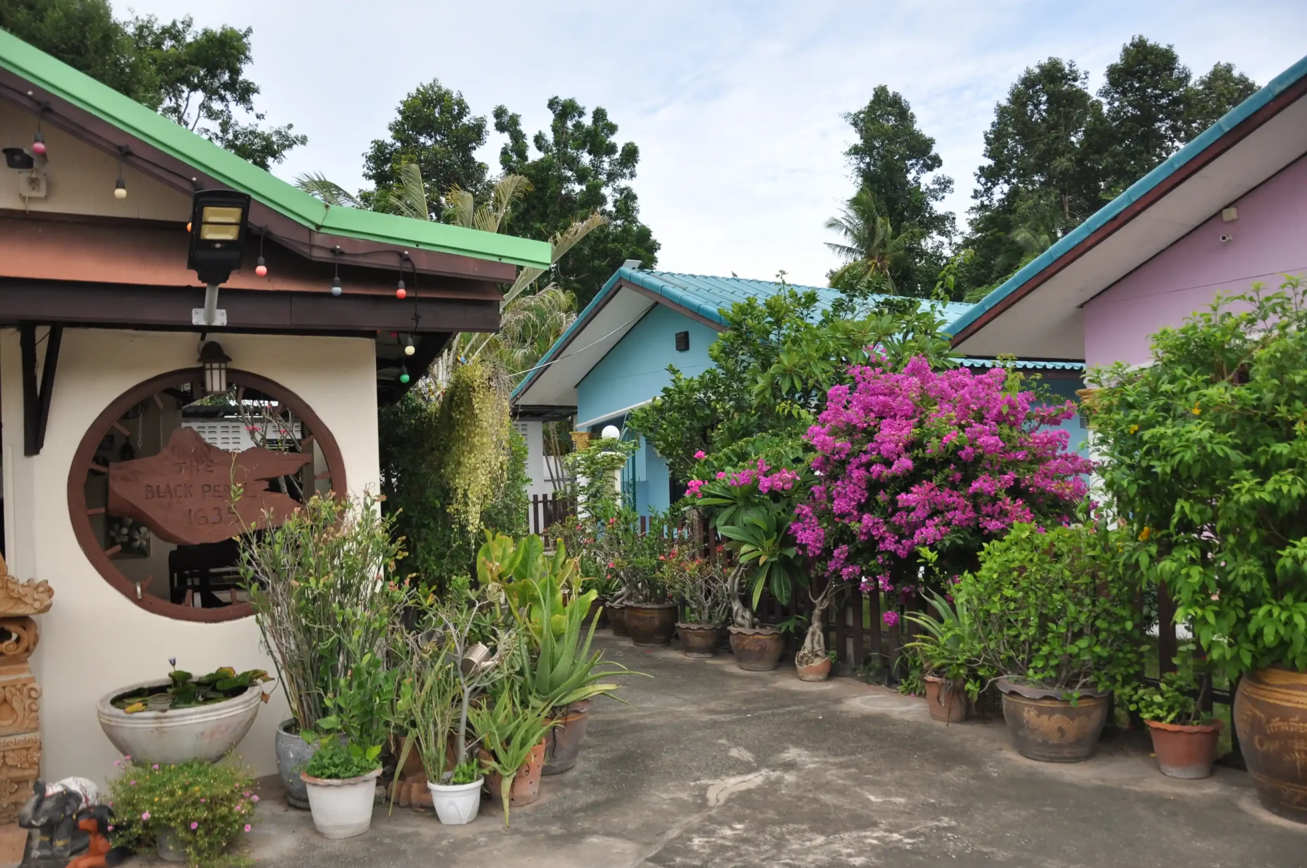 ryans resort (33)